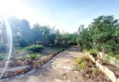 Detached villa with land for sale on España, Llíria, ref: TR388479 photo