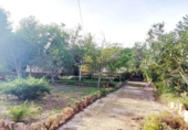 Detached villa with land for sale on España, Llíria, ref: TR388479 photo