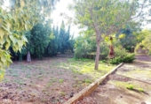 Detached villa with land for sale on España, Llíria, ref: TR388479 photo