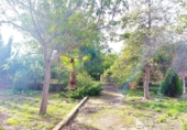 Detached villa with land for sale on España, Llíria, ref: TR388479 photo