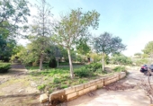 Detached villa with land for sale on España, Llíria, ref: TR388479 photo