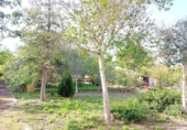 Detached villa with land for sale on España, Llíria, ref: TR388479 photo