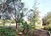 Detached villa with land for sale on España, Llíria, ref: TR388479 photo
