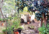 Detached villa with land for sale on España, Llíria, ref: TR388479 photo