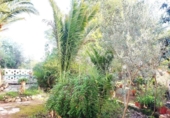 Detached villa with land for sale on España, Llíria, ref: TR388479 photo
