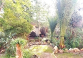 Detached villa with land for sale on España, Llíria, ref: TR388479 photo