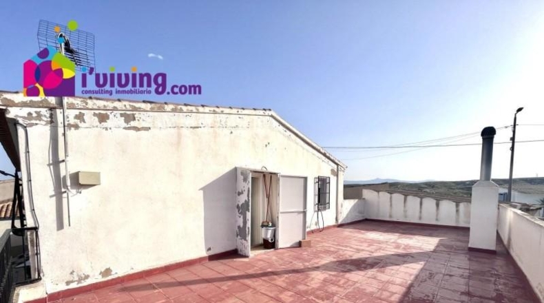 Burgos - Vilviestre del Pinar - 1000m2