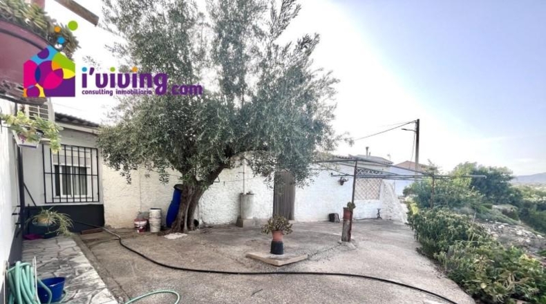 Burgos - Vilviestre del Pinar - 1000m2