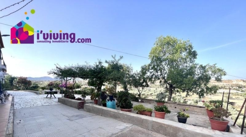 Burgos - Vilviestre del Pinar - 1000m2