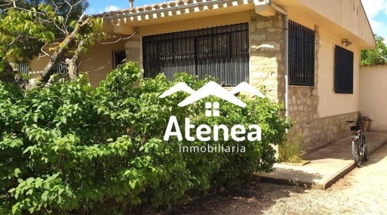 Murcia - Murcia - 3150m2