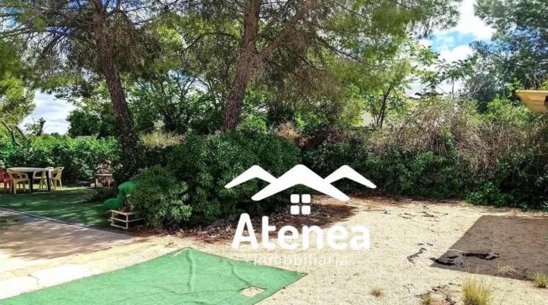 Murcia - Murcia - 3150m2
