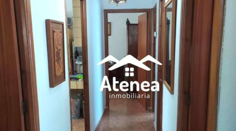 Murcia - Murcia - 3150m2
