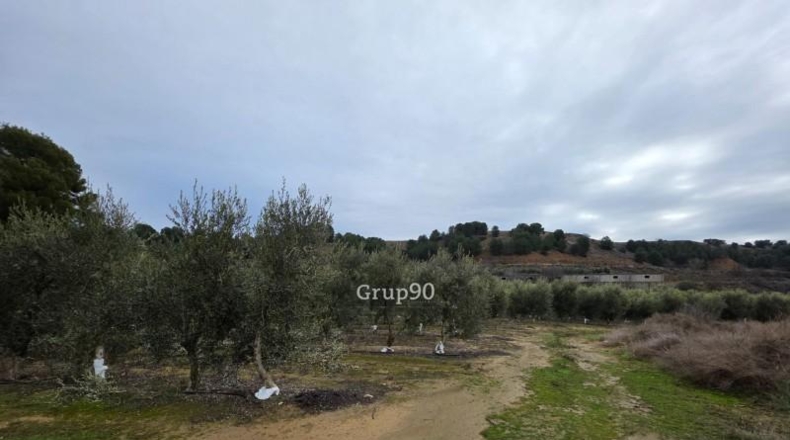 Lérida - Alpicat - 39735m2