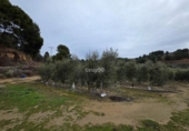 Casa con terreno en venta en la España, Alpicat, ref: TR388429 foto