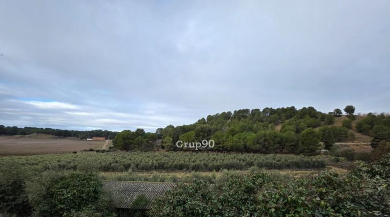 Lérida - Alpicat - 39735m2
