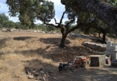 Chalet independiente con terreno en venta en la España, Plasencia, ref: TR397894 foto