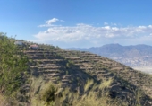 Casa de camp amb terreny en venda a la España, Sierro, ref.: TR398037 foto