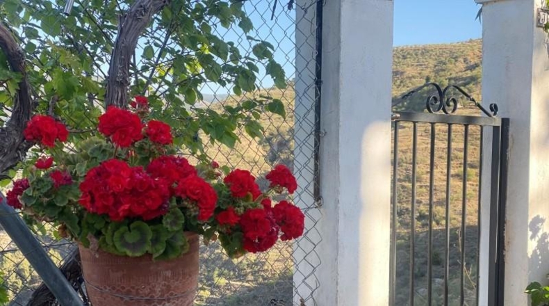 Salamanca - Retortillo - 175000m2