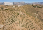 Xalet independent amb terreny en venda a la España, Colmenar, ref.: TR399126 foto