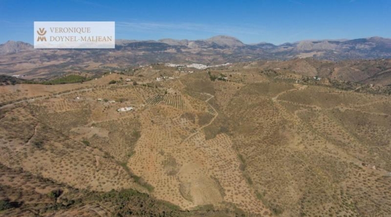 Málaga - Colmenar - 122000m2