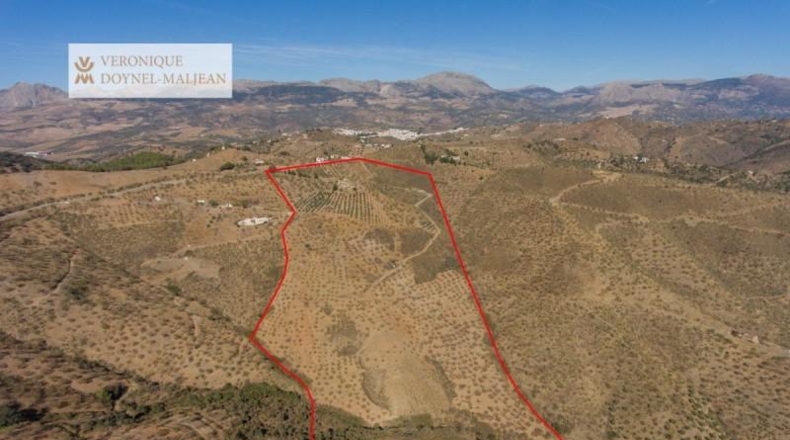 Málaga - Colmenar - 122000m2