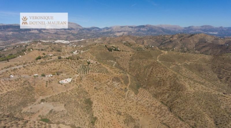 Málaga - Colmenar - 122000m2