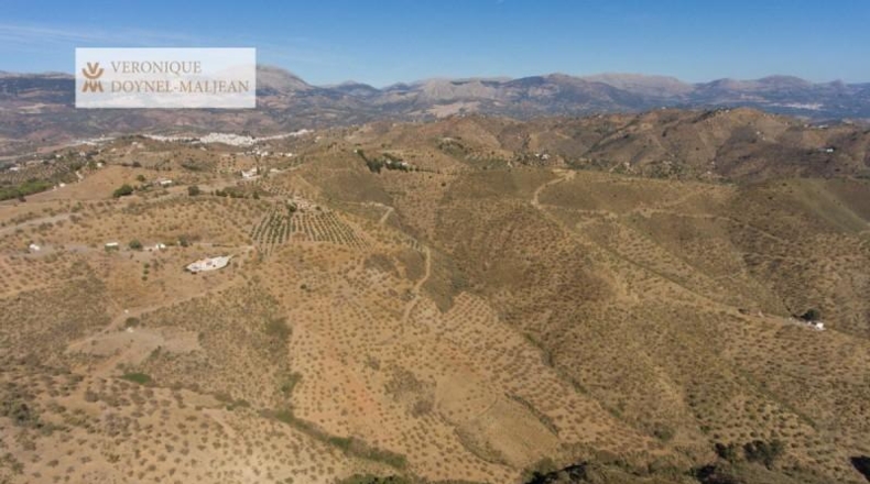 Málaga - Colmenar - 122000m2