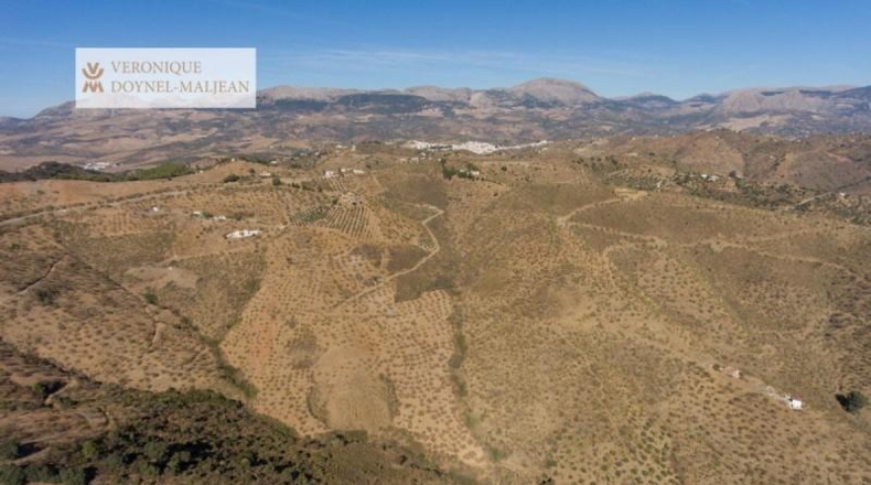 Málaga - Colmenar - 122000m2