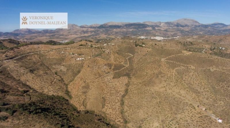 Málaga - Colmenar - 122000m2