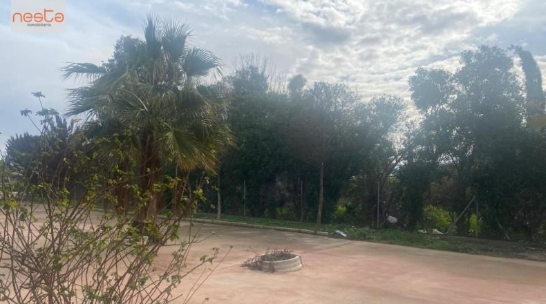 Sevilla - Lora del Río - 6000m2