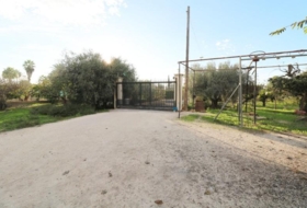 Elx 4493&nbsp;m² 