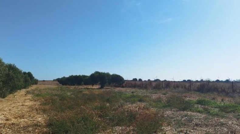 Cádiz - Puerto Real - 32749m2