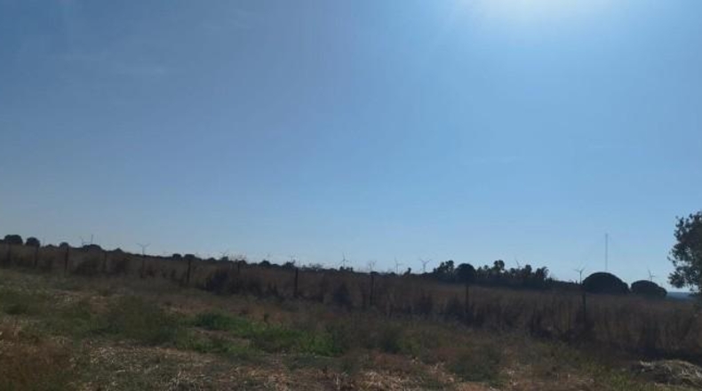Cádiz - Puerto Real - 32749m2