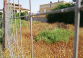 Parcel·la urbanitzable en venda a la España, Elx, ref.: TR397129 foto