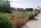 Parcel·la urbanitzable en venda a la España, Elx, ref.: TR397129 foto