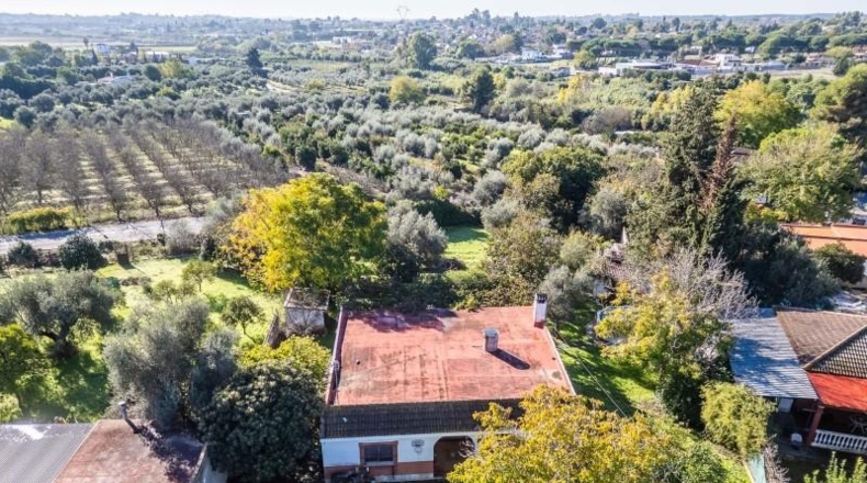 Sevilla - Palomares del Río - 2383m2