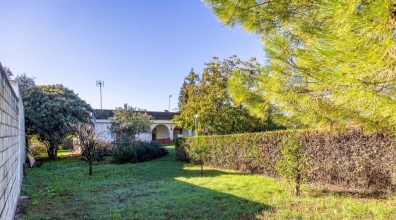 Sevilla - Palomares del Río - 2383m2