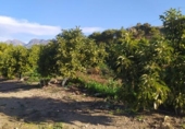 Terreny amb magatzem en venda a la España, Nerja, ref.: TR399746 foto