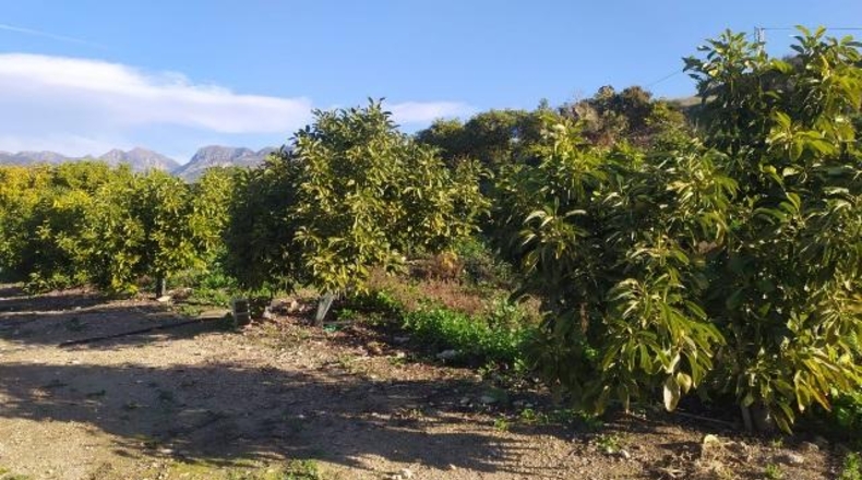 Málaga - Nerja - 4000m2
