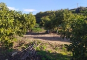 Terreny amb magatzem en venda a la España, Nerja, ref.: TR399746 foto