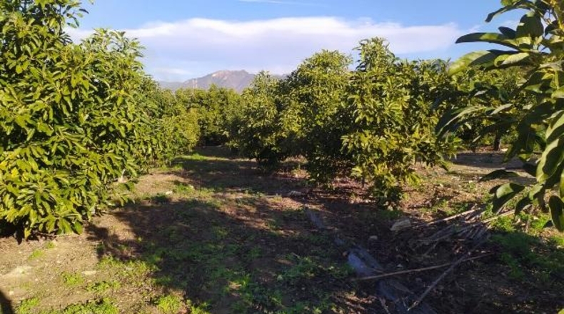 Málaga - Nerja - 4000m2