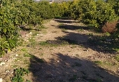 Terreny amb magatzem en venda a la España, Nerja, ref.: TR399746 foto