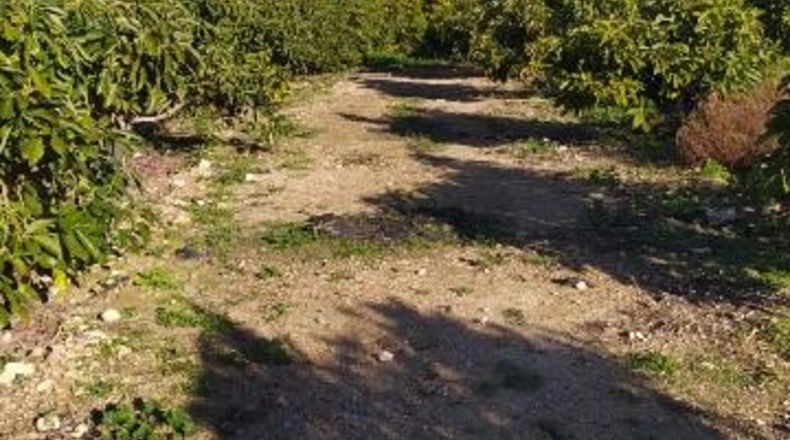 Málaga - Nerja - 4000m2