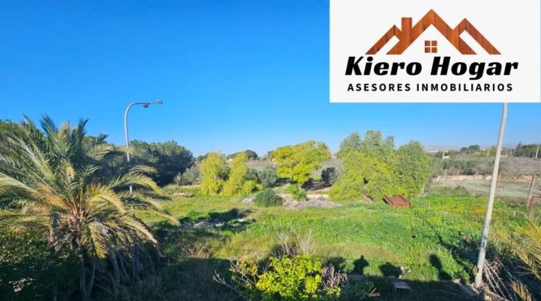 Alicante - Torrellano - 10000m2