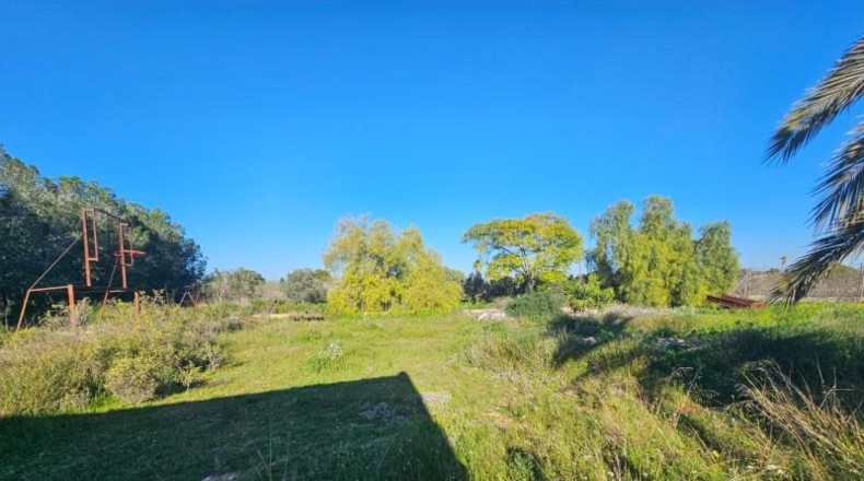 Alicante - Torrellano - 10000m2