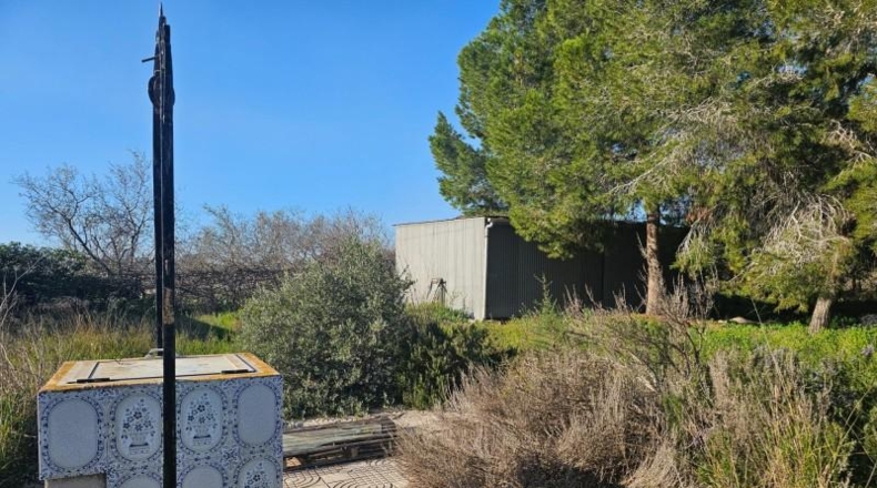 Alicante - Torrellano - 10000m2
