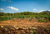 House with land for sale on España, Azuébar, ref: TR398856 photo