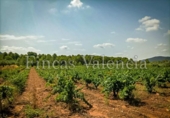 House with land for sale on España, Azuébar, ref: TR398856 photo
