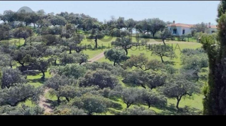 Córdoba - Villanueva del Rey - 135000m2