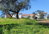 Xalet independent amb terreny en venda a la España, Villanueva del Fresno, ref.: TR399311 foto